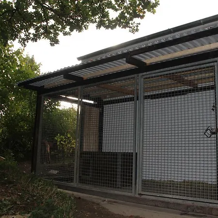 Ferienhaus Haus Tiergarten