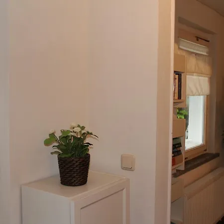 Ferienhaus Haus Tiergarten Damshagen